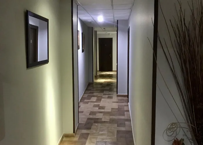 塞万提斯酒店 酒店 扎弗拉